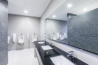 High-tech bathroom features